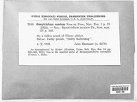 Image of Chloridium caesium